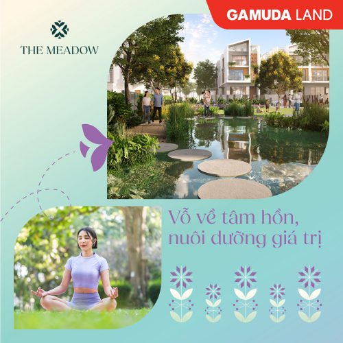 The Meadow: Vỗ về tâm hồn – Nuôi dưỡng giá trị