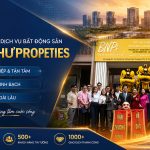 CÔNG TY TNHH DỊCH VỤ BẤT ĐỘNG SẢN BÁCH NHƯ PROPERTIES